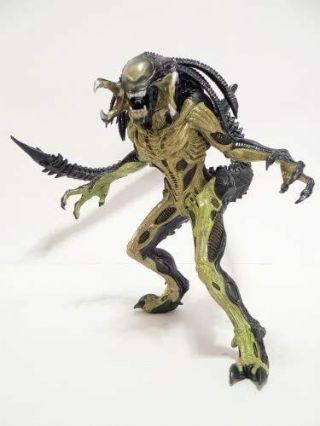 Alien Vs Predator Predalien Avp2 Japan Figure Real Color 9.  1in 23cm