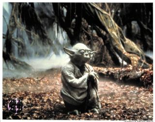 Yoda Frank Oz Empire Strikes Back Star Wars Photo Official Pix Opx Esb