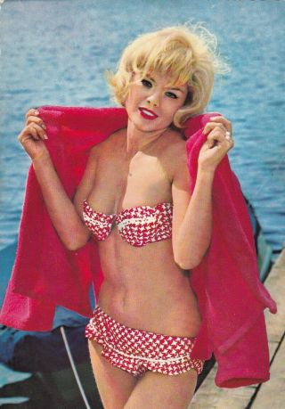 Sophie Hardy - Hollywood Movie Star Pin - Up/cheesecake 1950s Fan Postcard
