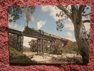 Pichi Richi Railway Preservation Society Colour Postcard [ - ]