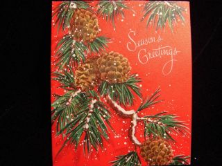 Vintage " Pine Cones In The Snow " Christmas Greeting Card