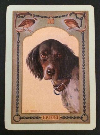Vintage Swap/playing Card - U.  S.  Wide Dog Named - Queen