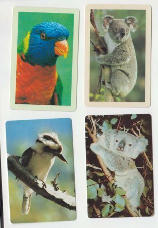 A168 Vintage Swap Cards Australian Koala Kookaburra Parrot
