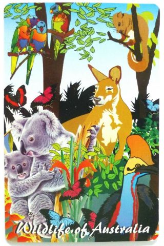 Swap Card.  Australian Animals / Wildlife.  Kangaroo,  Koala,  Parrot,  Butterfly,  Bird