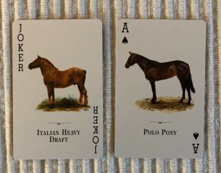 2 Vintage Playing Cards Horses Of The World Joker & Ace Of Spades