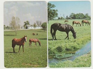 Swap/playing Cards Horses In Country Scenes Vintage Pair