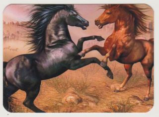 Swap Card Frisky Horses In Scene Modern Horizontal Wide Blank Back X 1