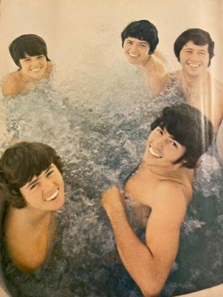 The Osmonds,  Donny Osmond,  Brothers,  David Cassidy,  Full Page Vintage Pinup