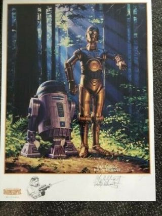 Star Wars Hildebrandt Poster C3po And R2d2 Shadows Of The Empire