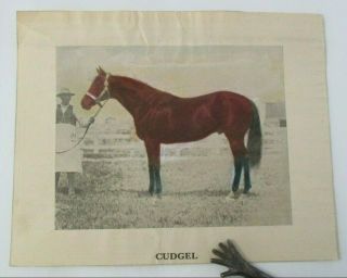 Vintage Circa 1924 Print Of Cudgel Champion American Racehorse (1914 - 1941)