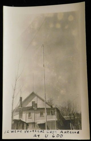 1924 Rare Ham Radio Real Photo 12 Wire Vertical Cage Antenna - U6dd