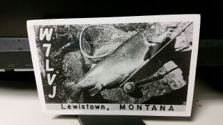 Amateur Ham Radio Qsl Postcard W7lvj Fish Photo 1980 Lewistown Montana
