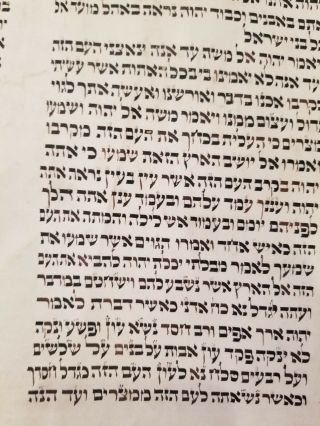 EARLY SEFER TORAH POLAND or CENTRAL EUROPE 19TH OR EARLY CENTURY 3