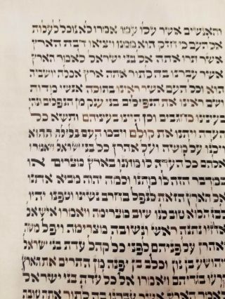 EARLY SEFER TORAH POLAND or CENTRAL EUROPE 19TH OR EARLY CENTURY 4