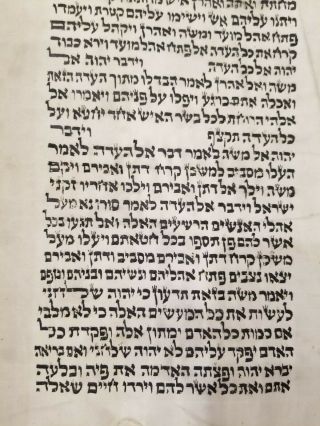 EARLY SEFER TORAH POLAND or CENTRAL EUROPE 19TH OR EARLY CENTURY 6