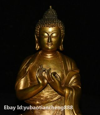 China Buddhism Bronze Gilt Shakyamuni Sakyamuni Amitabha tathagata Buddha Statue 2