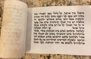 Stunning 5” Megillah Esther Scroll 11 Lines Ari Parchment Purim Gift
