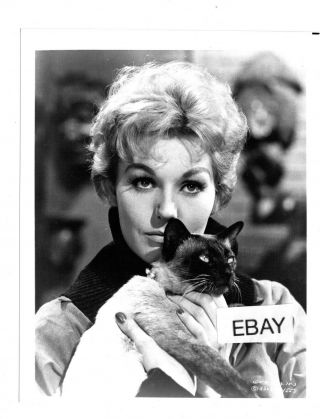 Bell,  Book And Candle 1958 Vintage 1970s? Movie Photo Kim Novak Witch 8x10