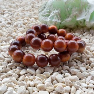 14 Beads Raja Kayu Bracelet Dragon Blood Wood 16 Mm Borneo Red Agathis