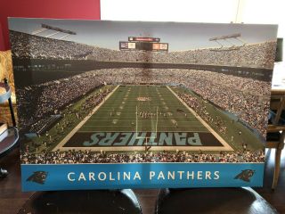 Carolina Panthers Bank Of America 22x33 Canvas Stadium Print,  Pennant And Poster
