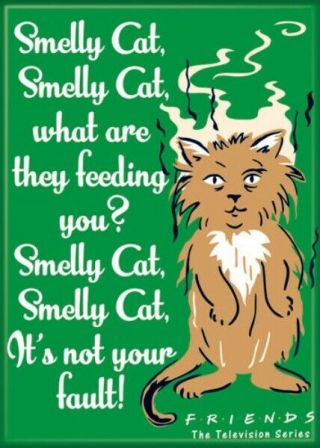 Friends Tv Series Smelly Cat Song Lyrics Photo Image Refrigerator Magnet