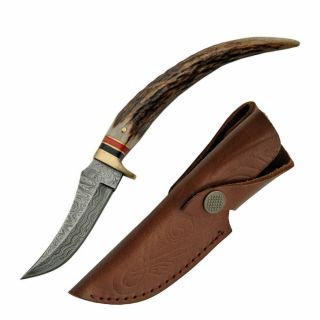 Real Damascus Stag Knife 8 " W/ Sheath Antler Grip Athame Boline Steel