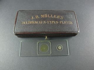 Antique Microscope Slide By J.  D.  Moller.  Diatomaceen - Typen - Platte.  400 Species.