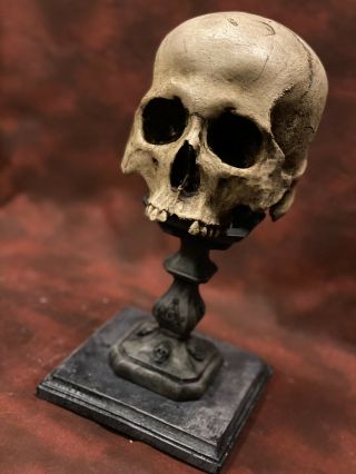Masonic Freemason Real Human Skull Display Stand / Skeleton Vintage Medical