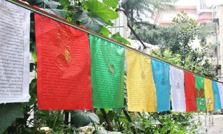 80 Flags 10ft.  Wind Horse Prayer Flags: Sutra 21 Tara (10 Flags Each)