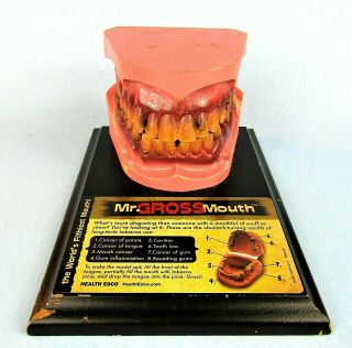 Mr.  Gross Mouth Oral Decay Disease Medical Model Rotting Teeth & Gums Display