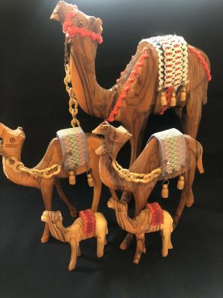 Holy Land Vintage Olive Wood Carved Camels Set Of 5
