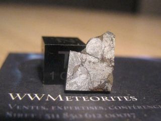 Meteorite Mont Dieu (france) - Ungrouped Iron With Inclusion