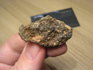 Meteorite Nwa 10305 - Carbonaceous Chondrite,  Cai Rich - Cv3 - Individual 14.  04g