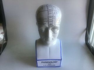 Large Phrenology L.  N.  Fowler Medical Scientific Head Bust