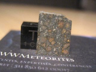 Meteorite Nwa 10289 - Cv3 Carbonaceous Chondrite - Red,  Black,  And White.