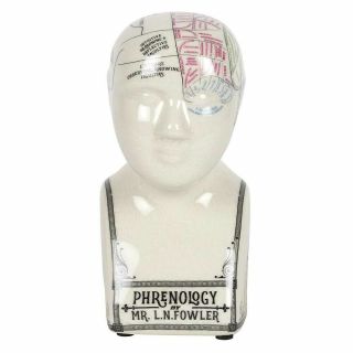 Antique Style Small Phrenology Head Bust Model Vintage Crackle Glazed Ceramic