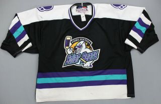 Vintage Orlando Solar Bears Bauer Hockey Jersey Sewn Patches Distressed Mens L