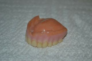 Vintage Top Dentures Plate - Fake Teeth - Dental Collectible