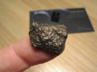 Meteorite Nwa 11541 - Carbonaceous Chondrite Type Cv3