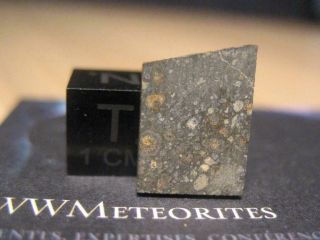 Meteorite Nwa 11543 - Carbonaceous Chondrite Type Cv3 - Contrasted Matrix