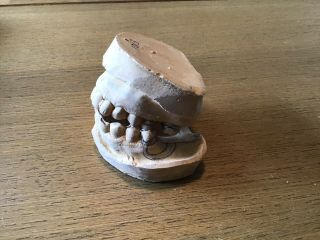 Vintage Ceramic Mold For Dentures Full Set Upper Lower False Teeth Dentist