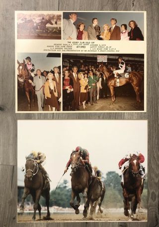 1979 Affirmed Pincay Jockey Club Gold Cup Thoroughbred Horse Race Vintage