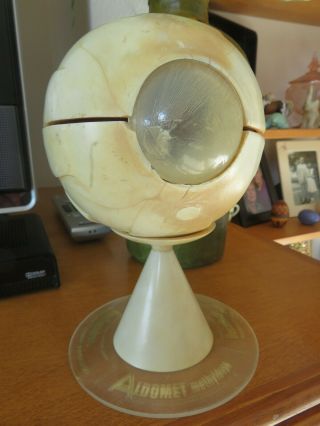 1963 Merck Sharp & Dohme Doctors Office Display Human Eyeball Model