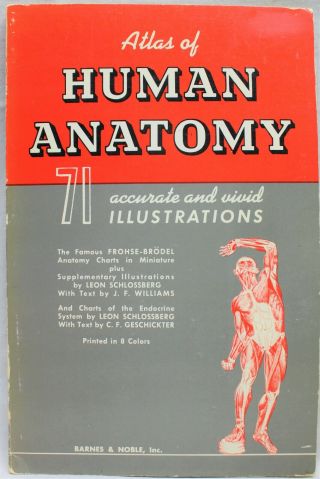 Atlas Of Human Anatomy Illustrated Booklet 1950 Vintage Medical Book