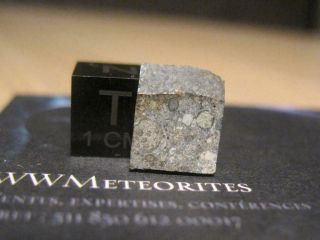 Meteorite NWA 11234 - Chondrite LL3 - Fresh and nicely brecciated 2