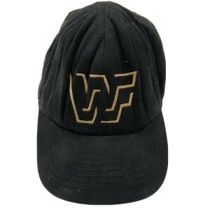 Vintage Wwf Logo 1995 Baseball Hat Cap Adjustable Embroidered Wwe 90s Wrestling