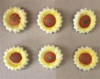 Vintage Hand Painted Kutani Porcelain Realistic Sunflower Buttons