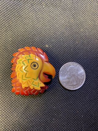 Carved Bakelite Parrot Bird Head Button Or Pin Brad Elfrink Nbs Large Realistic