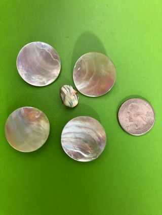 Large Vintage Mother Of Pearl Buttons Mop Quantity Four 1 " And One 1/2 "