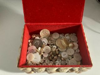 Vintage Seashell Treasure Box Filled With Old Mop & Shell Buttons